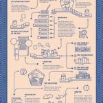 Infografia - 15+ Timeline Infographic Design Examples & Ideas - Daily Design Inspiration #18 | Venngage Gallery