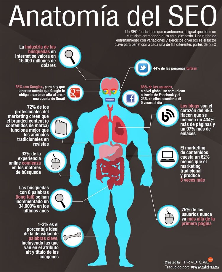 Infografia - (notitle)