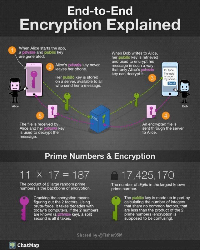 Infografia - (notitle)