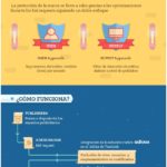 AdVerification-programatica-infografia.jpg