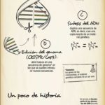 Biotecnología-Infografia