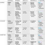 Infografia - Conducting a Social Media Audit