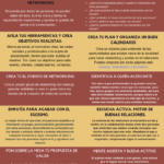 Infografia - Guía Networking de Bolsillo