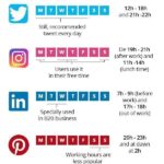 Infografia - Instagram Marketing 101: Using Hashtags, Stories, and More to Grow Your Business