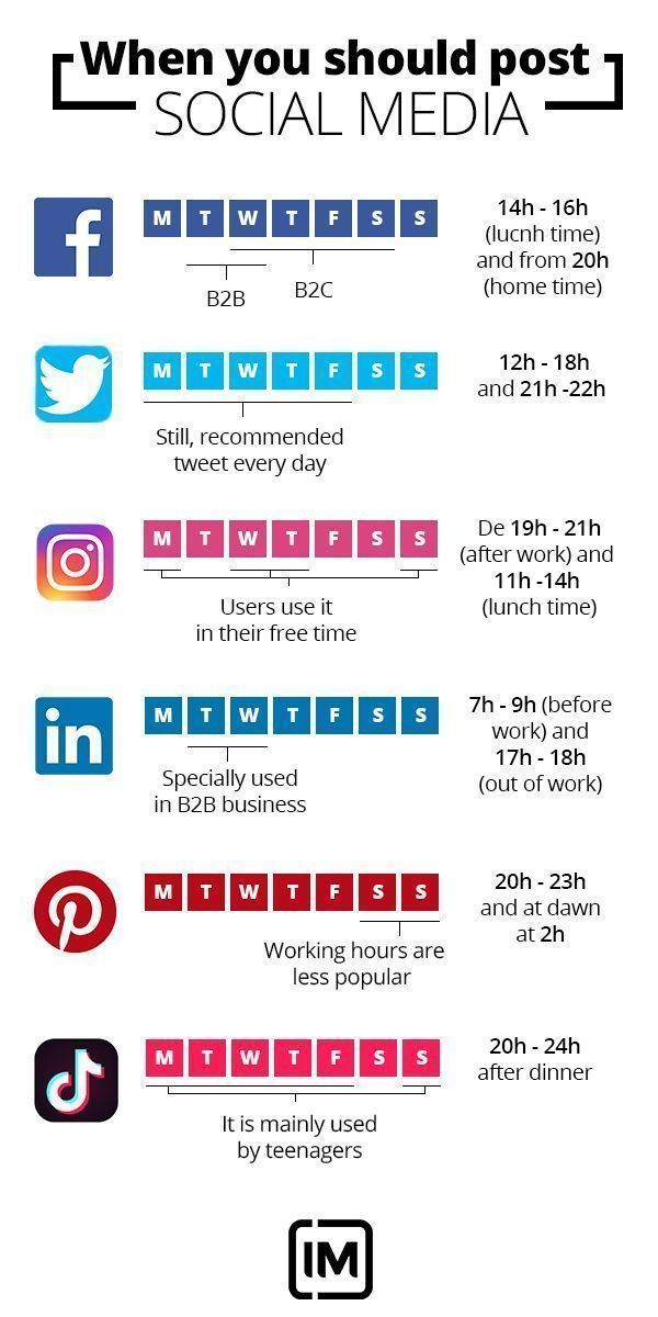 Infografia - Instagram Marketing 101: Using Hashtags, Stories, and More to Grow Your Business