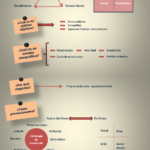 Infografia - Plan de trabajo para tu marca personal #infografia #infographic #marketing - TICs y Formación