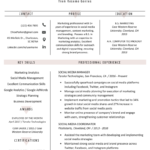 Infografia - Social Media Manager Resume | Example & Writing Tips