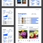 Infografia - Social Media Report