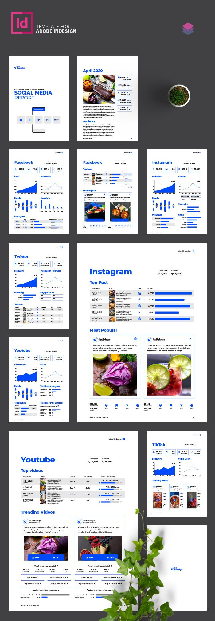 Infografia - Social Media Report