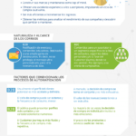 b2b-vs-b2c-marketing-automation-infografia.png