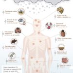 efectos-contaminacion-salud-infografia.jpg