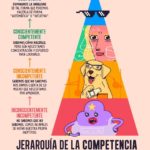 jerarquia-competencia-infografia.jpg