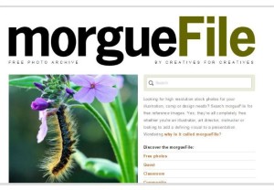 morguefiles - banco imagenes gratis