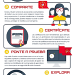 profesional-ciberseguridad-infografia.png