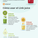 que-es-el-link-juice-infografia.png