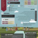 sistema-educativo-paises-bajos-infografia.jpg